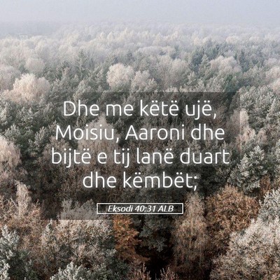 Picture 05 - Eksodi 40:31 ALB - Dhe me këtë ujë, Moisiu, Aaroni dhe bijtë e - Bible Verse Picture