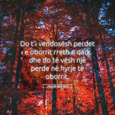 Picture 05 - Eksodi 40:8 ALB - Do t’i vendosësh perdet e oborrit rreth e qark - Bible Verse Picture