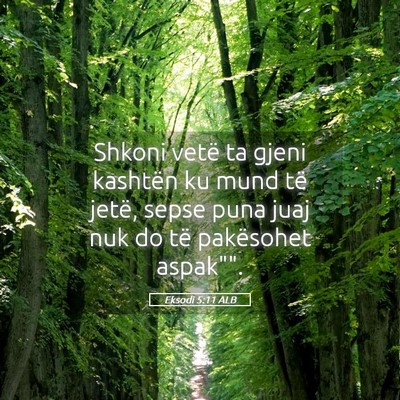 Picture 05 - Eksodi 5:11 ALB - Shkoni vetë ta gjeni kashtën ku mund të jetë, - Bible Verse Picture