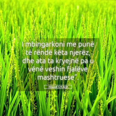 Picture 05 - Eksodi 5:9 ALB - I mbingarkoni me punë të rëndë këta njerëz, - Bible Verse Picture