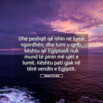 Picture 05 - Eksodi 7:21 ALB - Dhe peshqit që ishin në lumë ngordhën; dhe - Bible Verse Picture