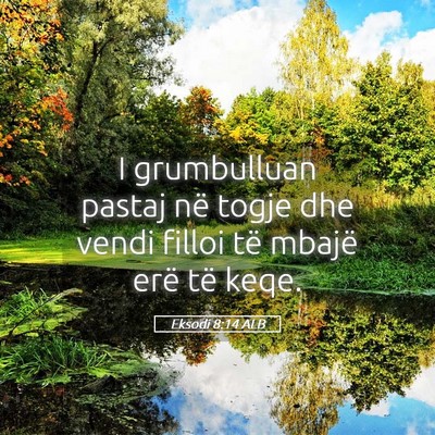 Picture 05 - Eksodi 8:14 ALB - I grumbulluan pastaj në togje dhe vendi filloi - Bible Verse Picture