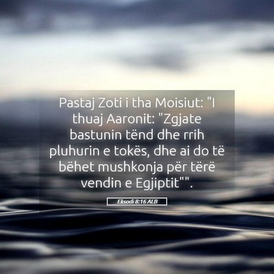 Picture 05 - Eksodi 8:16 ALB - Pastaj Zoti i tha Moisiut: 
