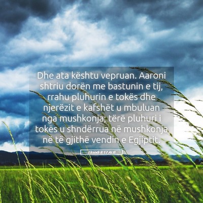 Picture 05 - Eksodi 8:17 ALB - Dhe ata kështu vepruan. Aaroni shtriu dorën me - Bible Verse Picture