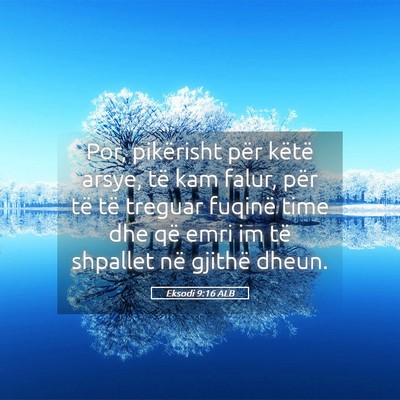 Picture 05 - Eksodi 9:16 ALB - Por, pikërisht për këtë arsye, të kam falur, - Bible Verse Picture