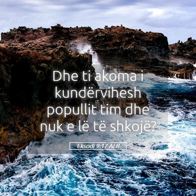 Picture 05 - Eksodi 9:17 ALB - Dhe ti akoma i kundërvihesh popullit tim dhe nuk - Bible Verse Picture