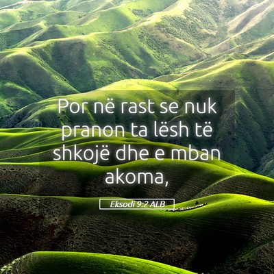 Picture 05 - Eksodi 9:2 ALB - Por në rast se nuk pranon ta lësh të shkojë - Bible Verse Picture