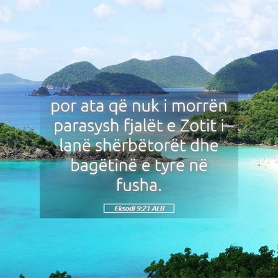 Picture 05 - Eksodi 9:21 ALB - por ata që nuk i morrën parasysh fjalët e - Bible Verse Picture