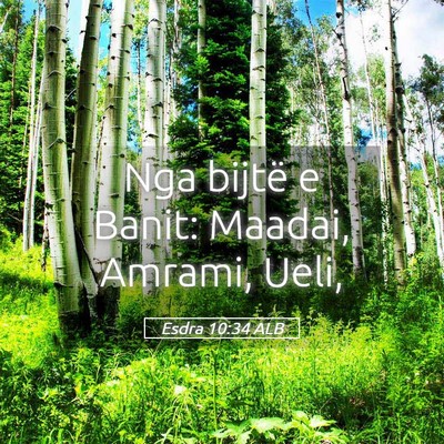 Picture 05 - Esdra 10:34 ALB - Nga bijtë e Banit: Maadai, Amrami, - Bible Verse Picture