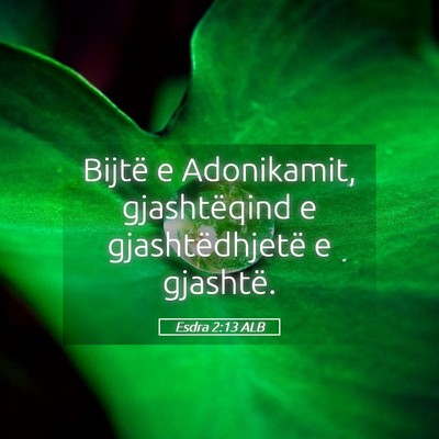 Picture 05 - Esdra 2:13 ALB - Bijtë e Adonikamit, gjashtëqind e - Bible Verse Picture
