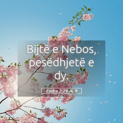 Picture 05 - Esdra 2:29 ALB - Bijtë e Nebos, pesëdhjetë e - Bible Verse Picture