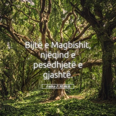 Picture 05 - Esdra 2:30 ALB - Bijtë e Magbishit, njëqind e pesëdhjetë e - Bible Verse Picture