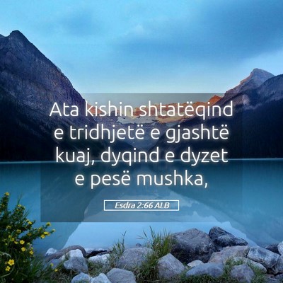 Picture 05 - Esdra 2:66 ALB - Ata kishin shtatëqind e tridhjetë e gjashtë - Bible Verse Picture