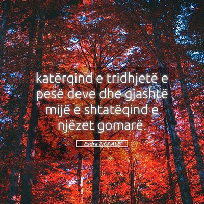 Picture 05 - Esdra 2:67 ALB - katërqind e tridhjetë e pesë deve dhe gjashtë - Bible Verse Picture
