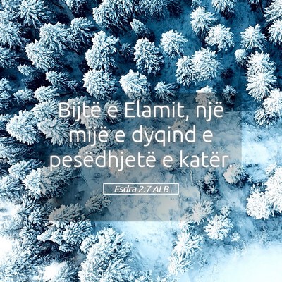 Picture 05 - Esdra 2:7 ALB - Bijtë e Elamit, një mijë e dyqind e - Bible Verse Picture