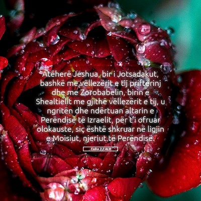 Picture 05 - Esdra 3:2 ALB - Atëherë Jeshua, bir i Jotsadakut, bashkë me - Bible Verse Picture
