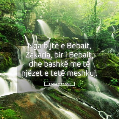 Picture 05 - Esdra 8:11 ALB - Nga bijtë e Bebait, Zakaria, bir i Bebait, dhe - Bible Verse Picture