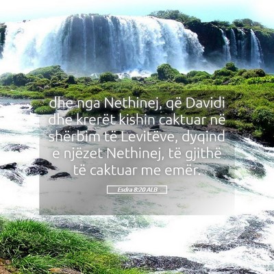 Picture 05 - Esdra 8:20 ALB - dhe nga Nethinej, që Davidi dhe krerët kishin - Bible Verse Picture