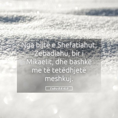 Picture 05 - Esdra 8:8 ALB - Nga bijtë e Shefatiahut, Zebadiahu, bir i - Bible Verse Picture