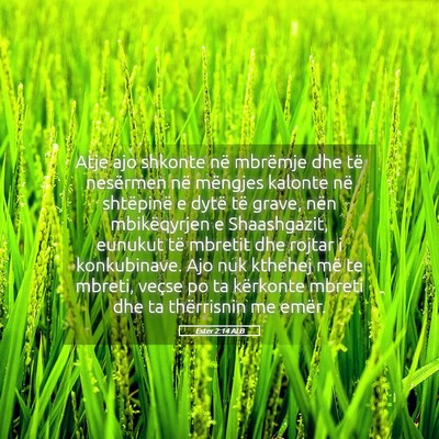 Picture 05 - Ester 2:14 ALB - Atje ajo shkonte në mbrëmje dhe të nesërmen - Bible Verse Picture