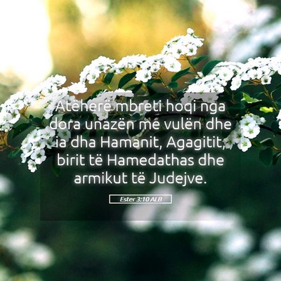 Picture 05 - Ester 3:10 ALB - Atëherë mbreti hoqi nga dora unazën me vulën - Bible Verse Picture