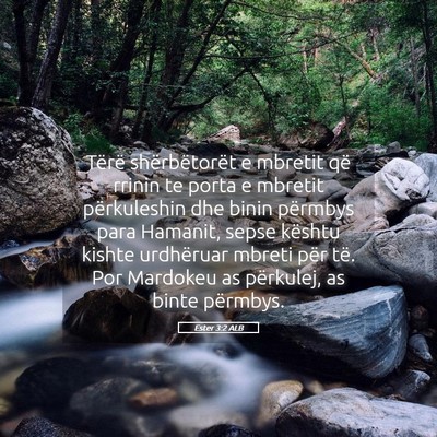 Picture 05 - Ester 3:2 ALB - Tërë shërbëtorët e mbretit që rrinin te - Bible Verse Picture