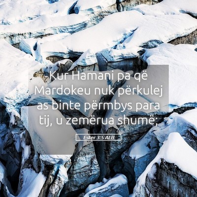 Picture 05 - Ester 3:5 ALB - Kur Hamani pa që Mardokeu nuk përkulej as binte - Bible Verse Picture