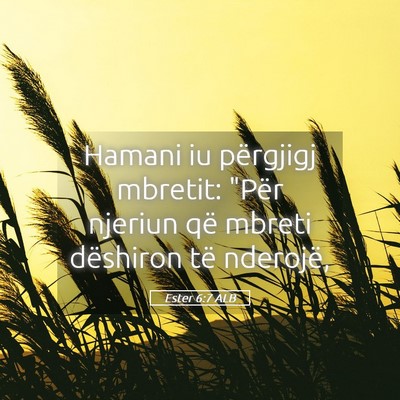 Picture 05 - Ester 6:7 ALB - Hamani iu përgjigj mbretit: 