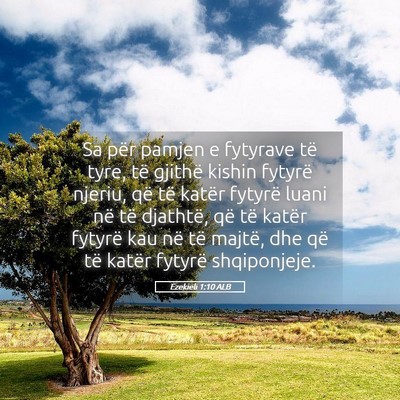 Picture 05 - Ezekieli 1:10 ALB - Sa për pamjen e fytyrave të tyre, të gjithë - Bible Verse Picture
