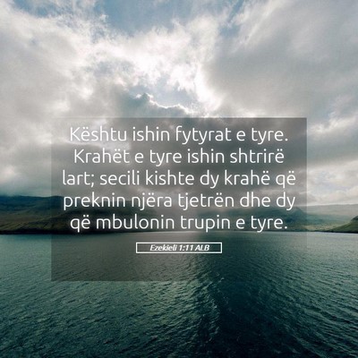 Picture 05 - Ezekieli 1:11 ALB - Kështu ishin fytyrat e tyre. Krahët e tyre - Bible Verse Picture