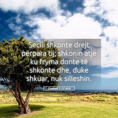 Picture 05 - Ezekieli 1:12 ALB - Secili shkonte drejt përpara tij; shkonin atje - Bible Verse Picture