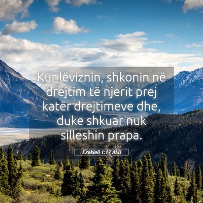Picture 05 - Ezekieli 1:17 ALB - Kur lëviznin, shkonin në drejtim të njerit - Bible Verse Picture