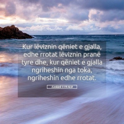 Picture 05 - Ezekieli 1:19 ALB - Kur lëviznin qëniet e gjalla, edhe rrotat - Bible Verse Picture
