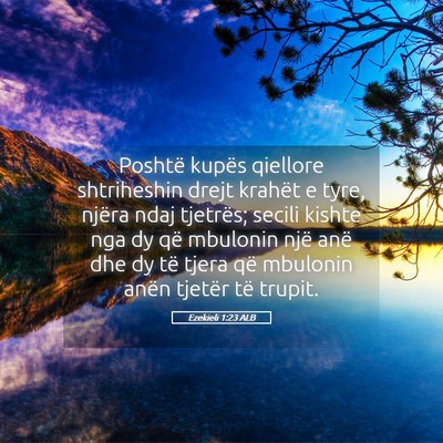 Picture 05 - Ezekieli 1:23 ALB - Poshtë kupës qiellore shtriheshin drejt krahët - Bible Verse Picture