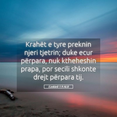 Picture 05 - Ezekieli 1:9 ALB - Krahët e tyre preknin njeri tjetrin; duke ecur - Bible Verse Picture