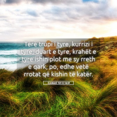 Picture 05 - Ezekieli 10:12 ALB - Tërë trupi i tyre, kurrizi i tyre, duart e - Bible Verse Picture