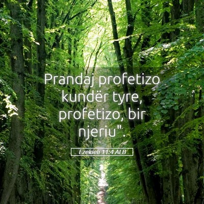 Picture 05 - Ezekieli 11:4 ALB - Prandaj profetizo kundër tyre, profetizo, bir - Bible Verse Picture