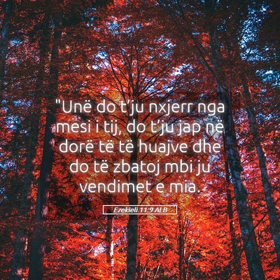 Picture 05 - Ezekieli 11:9 ALB - 