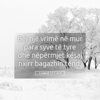 Picture 05 - Ezekieli 12:5 ALB - Bëj një vrimë në mur para syve të tyre dhe - Bible Verse Picture