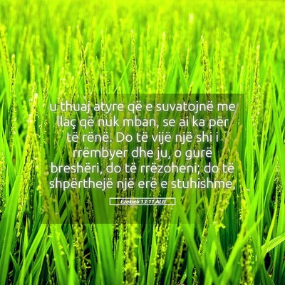 Picture 05 - Ezekieli 13:11 ALB - u thuaj atyre që e suvatojnë me llaç që nuk - Bible Verse Picture