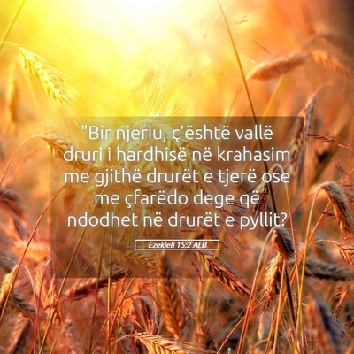 Picture 05 - Ezekieli 15:2 ALB - 