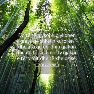 Picture 05 - Ezekieli 16:38 ALB - Do të të gjykoj si gjykohen gratë që shkelin - Bible Verse Picture