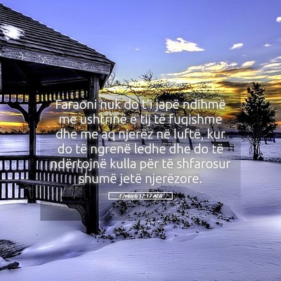 Picture 05 - Ezekieli 17:17 ALB - Faraoni nuk do t’i japë ndihmë me ushtrinë e - Bible Verse Picture