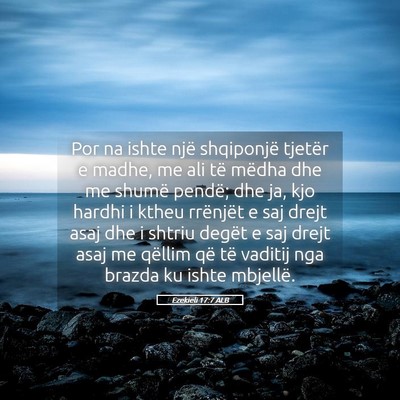 Picture 05 - Ezekieli 17:7 ALB - Por na ishte një shqiponjë tjetër e madhe, me - Bible Verse Picture