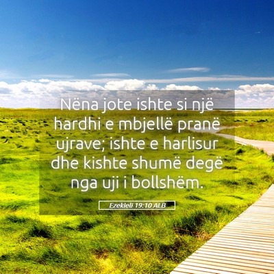 Picture 05 - Ezekieli 19:10 ALB - Nëna jote ishte si një hardhi e mbjellë pranë - Bible Verse Picture