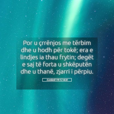 Picture 05 - Ezekieli 19:12 ALB - Por u çrrënjos me tërbim dhe u hodh për - Bible Verse Picture