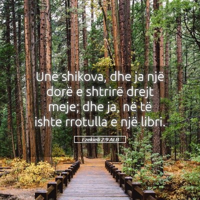 Picture 05 - Ezekieli 2:9 ALB - Unë shikova, dhe ja një dorë e shtrirë drejt - Bible Verse Picture