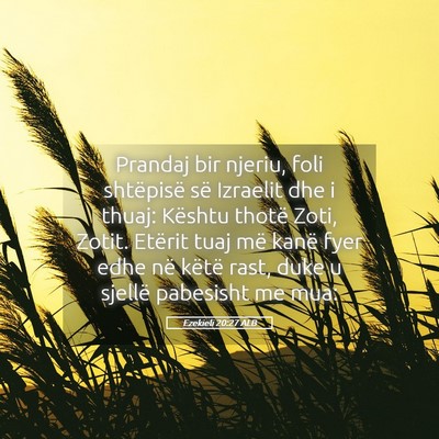 Picture 05 - Ezekieli 20:27 ALB - Prandaj bir njeriu, foli shtëpisë së Izraelit - Bible Verse Picture