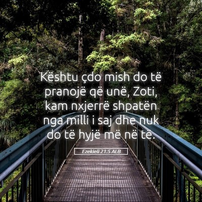 Picture 05 - Ezekieli 21:5 ALB - Kështu çdo mish do të pranojë që unë, Zoti, - Bible Verse Picture