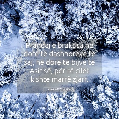 Picture 05 - Ezekieli 23:9 ALB - Prandaj e braktisa në dorë të dashnorëve të - Bible Verse Picture